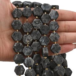 天然ラルビカイトビーズ連売り  六角形  シードビーズで  12~12.5x13.5~14.5x6~6.5mm  穴：0.8~1mm  約27~29個/連  15.71''（39.9センチメートル）&nbsp;G-A291-A02-01