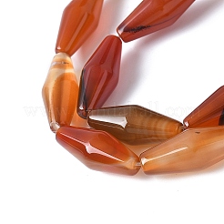 Dyed & Heated Natural Carnelian Beads Strands&nbsp;G-Q019-A02