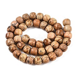 Natural Picture Jasper Beads Strands&nbsp;G-T138-140