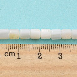 Natural Freshwater Shell Beads Strands&nbsp;SHEL-F008-04A