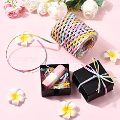 Segment Dyed Raffia Paper Cords for DIY Craft&nbsp;OCOR-WH20020-27C