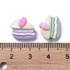 Opaque Cute Resin Decoden Cabochons&nbsp;RESI-B024-01D