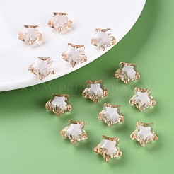 透明なアクリルビーズ  二層ビーズ  多面カット  スター  バリーウッド  14x15x8.5mm  穴：2mm  約518個/500g&nbsp;TACR-S152-02A-760