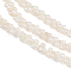 Electroplated Shell Pearl Beads Strands&nbsp;SH-CBA94AD-01