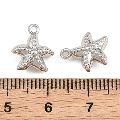 Alloy Charms&nbsp;AL-CBA83D5-10P