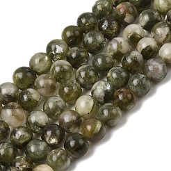 Natural Green Lepidolite Beads Strands&nbsp;G-K350-B01-6mm