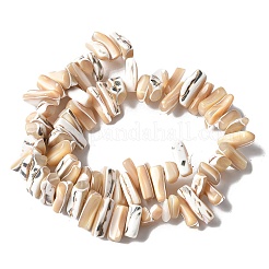 Dyed Natural Trochus Shell Beads Strands&nbsp;X-SSHEL-C013-09K