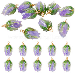 10Pcs Transparent Acrylic Pendants&nbsp;SACR-TA0001-66C
