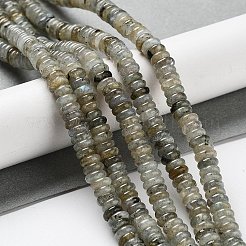 Natural Labradorite Beads Strands&nbsp;G-G084-A03-01