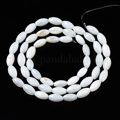 Natural Freshwater Shell Beads Strands&nbsp;SHEL-Q024-021