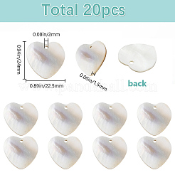 天然ブラックリップシェルペンダント20個  ハートチャーム  24.5x24.5x2.5mm  穴：1.5mm&nbsp;BSHE-SC0001-26