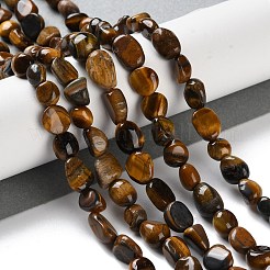 Natural Tiger Eye Beads Strands&nbsp;G-P497-01C-12