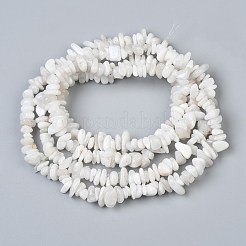 天然ホワイトムーンストーンビーズ連売り  チップ  5~8mm  穴：1mm  約33インチ（84cm）&nbsp;X-G-P332-01