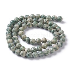 Natural Mixed Gemstone Beads Strands&nbsp;G-H245-05