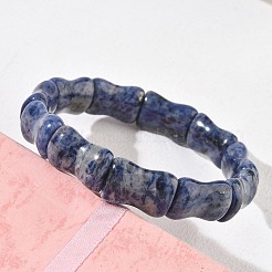 Bamboo Natural Sodalite Beads Stretch Bracelets for Women Men&nbsp;BJEW-K304-01E