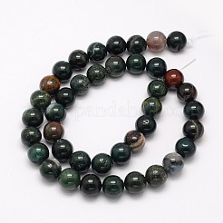 Natural Bloodstone Beads Strands&nbsp;G-N0166-04-4mm