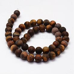 Frosted Natural Tiger Eye Beads Strands&nbsp;G-F364-18-8mm