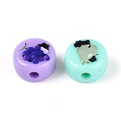 オペークプリントアクリルビーズ  フルーツ付きのフラットラウンド  ミックスカラー  16x9mm  穴：3.5mm&nbsp;OACR-T029-11M