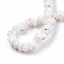 Natural Trochid Shell/Trochus Shell Beads Strands&nbsp;SSHEL-N032-50