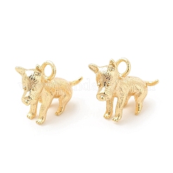 Brass Charms&nbsp;KK-G447-13G