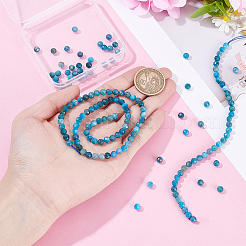 2 Strands Natural Apatite Beads Strands&nbsp;G-HY0001-94