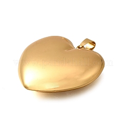 304 Stainless Steel Pendants&nbsp;STAS-H200-01G-05