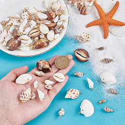 100Pcs 10 Styles Shell Pendants&nbsp;PALLOY-PH01882