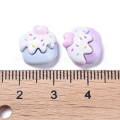 Opaque Cute Resin Decoden Cabochons&nbsp;X-RESI-B024-01G