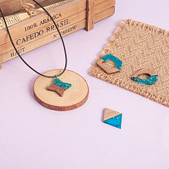 30Pcs 15 Style Transparent Resin & Walnut Wood Pendants&nbsp;RESI-FW0001-01