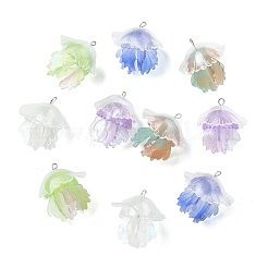 10個5色プラスチックペンダント  クラゲチャーム  プラチナアイアンループ＆グリッターパウダー付き  ミックスカラー  28x28x28mm  穴：1.5mm  2個/カラー&nbsp;KY-CJ0002-19