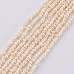 天然養殖淡水パールビーズ連売り  貝殻色  1.5~2x1.5~3x1.5~2mm  穴：0.5mm  約142個/連  13.78インチ（35cm）&nbsp;PEAR-S016-001