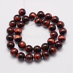 Natural & Dyed & Heated Tiger Eye Bead Strands&nbsp;G-P230-12-10mm