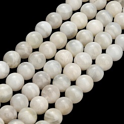 Natural White Moonstone Beads Strands&nbsp;G-L664-A01-8mm