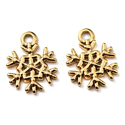 Ion Plating(IP) 304 Stainless Steel Pendants&nbsp;STAS-Q248-12G