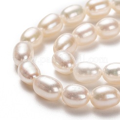 Natural Cultured Freshwater Pearl Beads Strands&nbsp;PEAR-L033-67-01