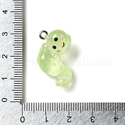 Luminous Transparent Resin Pendants&nbsp;RESI-E056-03P-02