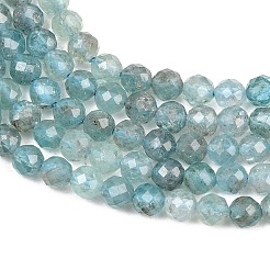 Natural Apatite Beads Strands&nbsp;G-RM250101-C9