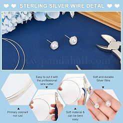 1Pc 999 Fine Silver Wire&nbsp;STER-BC0001-66B