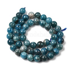 Natural Apatite Beads Strands&nbsp;G-F674-04-8mm