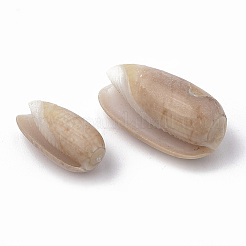 Spiral Shell Beads&nbsp;LS-SSHEL-S258-08