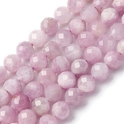 Natural Kunzite Beads Strands&nbsp;G-P587-B01-01