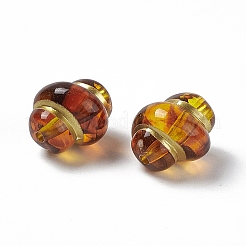 ゴールドライン入りアクリルビーズ  巻き貝  ペルー  11.5x10.5x14mm  穴：1.6mm  500個/ 500g&nbsp;OACR-H019-10