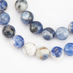 Natural Sodalite Beads Strands&nbsp;G-OC0001-66-10mm