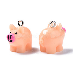 Opaque Resin Pendants&nbsp;RESI-S356-064