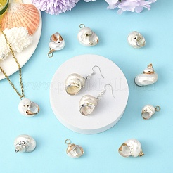 電気メッキの螺旋シェルペンダント  鉄パーツ  巻貝チャーム  プラチナ  24~37x18~28x13~23  穴：2mm&nbsp;BSHE-YW0001-07P