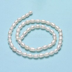 天然養殖淡水パールビーズ連売り  ライス  リネン  6.5~8x4~5mm  穴：0.6mm  約54~56個/連  14.17''（36センチメートル）&nbsp;PEAR-J006-13B-01