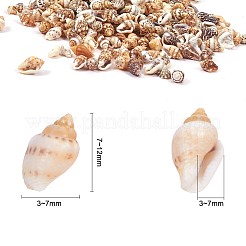 穴のないスパイラルシェルビーズ  レモンシフォン  7~12x3~7x3~7mm  約1400~1500個/箱&nbsp;SSHEL-YW0001-01