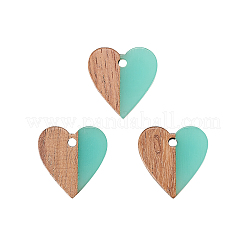 Resin & Wood Pendants&nbsp;LS-RESI-CJC0001-19C