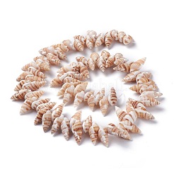 天然石スパイラルシェルビーズ連売り  小麦  14~20x7~10x6~8mm  穴：1mm  15.35インチ（39cm）&nbsp;X-BSHE-I016-08