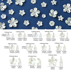 12 Styles ABS Plastic Imitation Pearl & Resin Bead Caps&nbsp;DIY-CJ0002-40